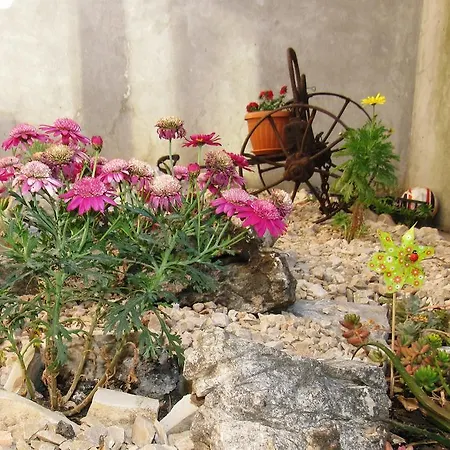 Apartman Villa Novo *