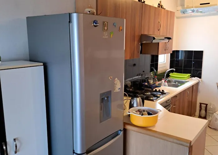 Festina Ivana 扎达尔