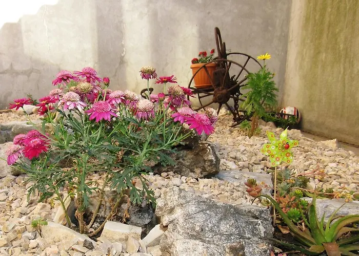 公寓 Festina Ivana *